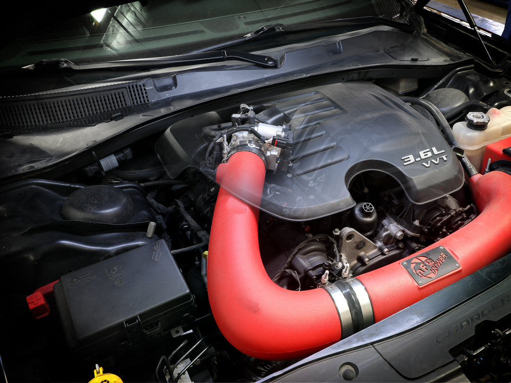 46-39105_LS1.jpg