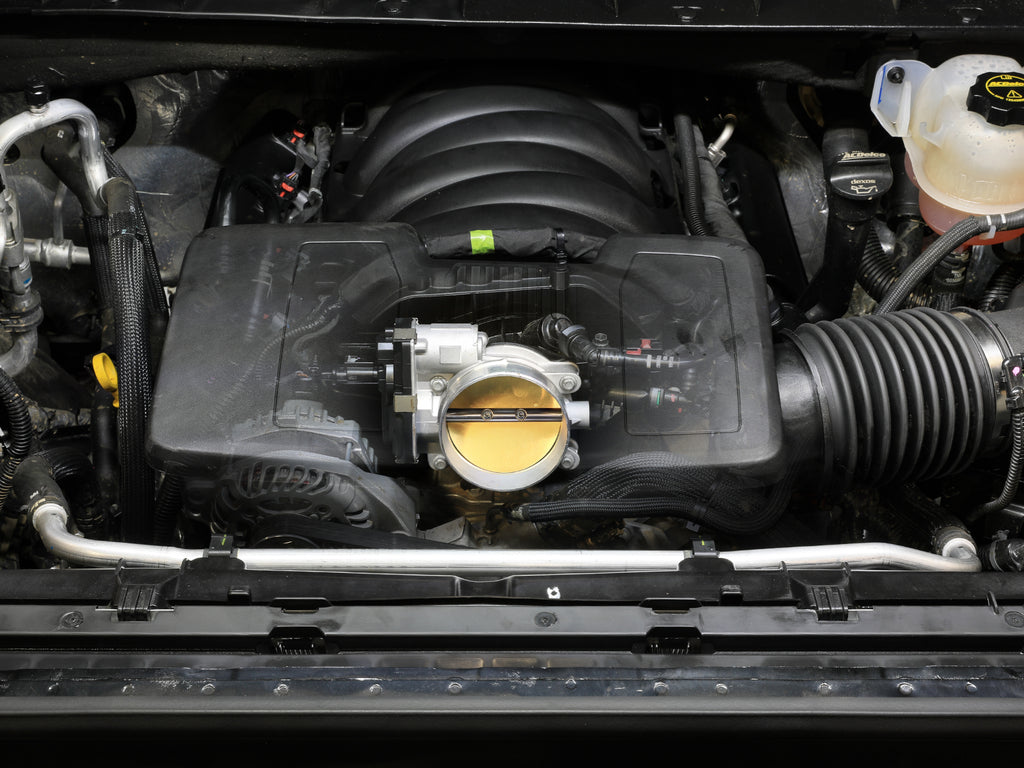 46-39110_LS1.jpg