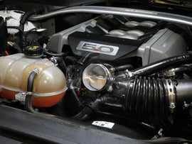 46-39113_LS1.jpg