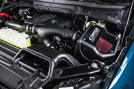 49135D_b.jpg