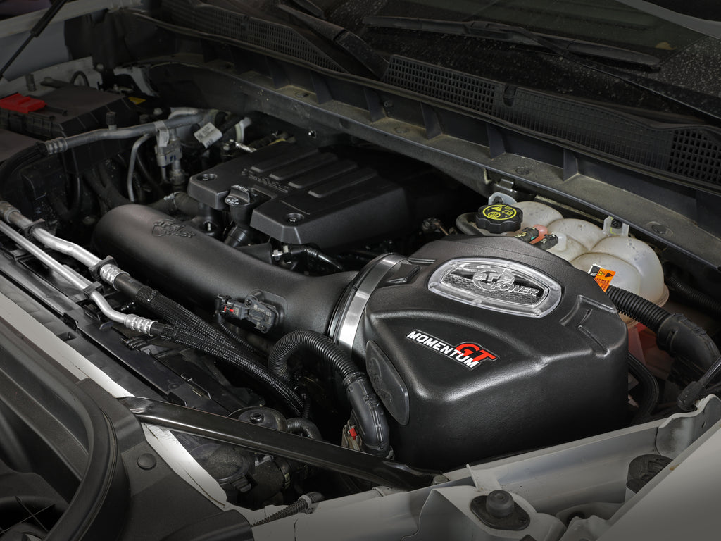 50-70042D_LS1.jpg