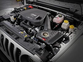 50-70062G_LS1.jpg