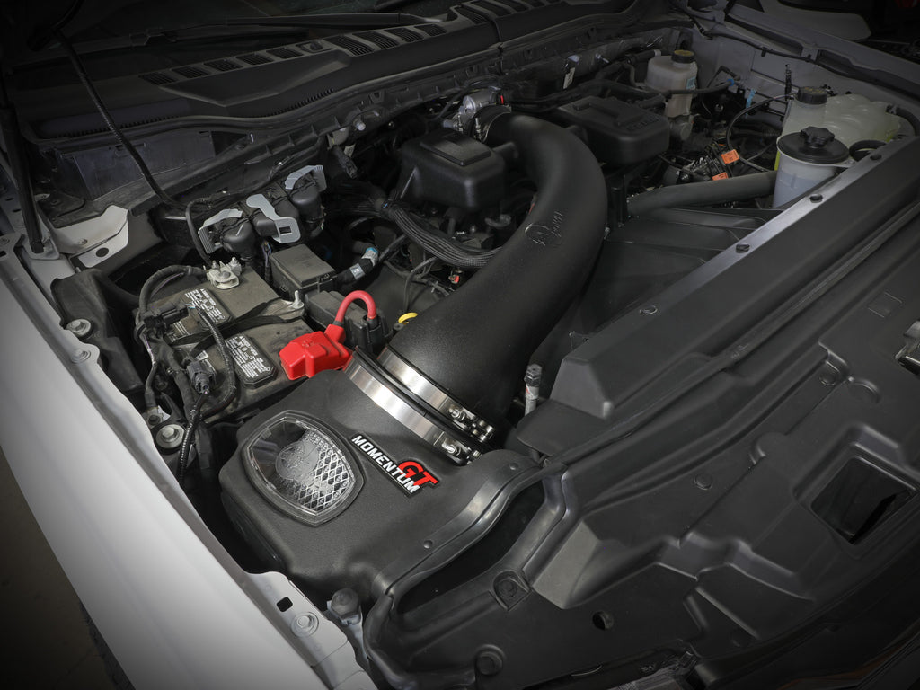 50-70069D_LS1.jpg