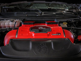 50-70075KR_LS1.jpg