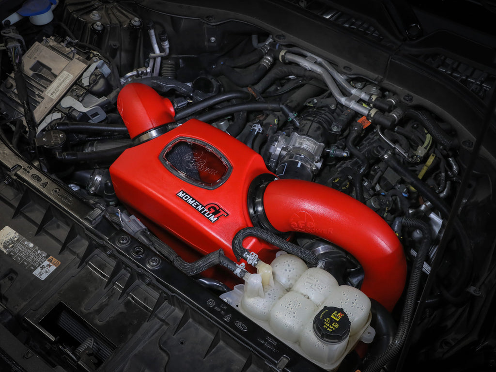 50-70076KR_LS1.jpg