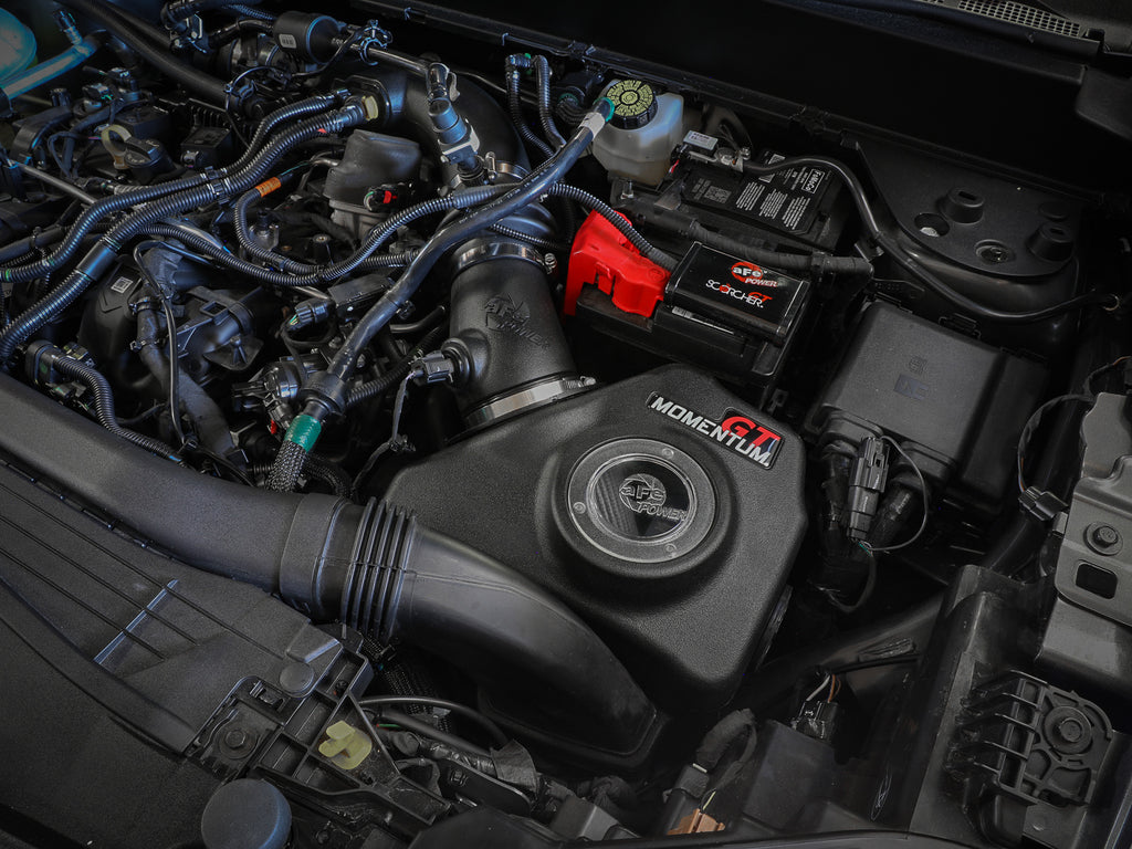 50-70079D_LS1.jpg