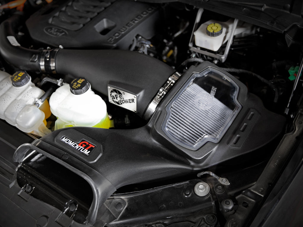 50-70099D_LS1.jpg
