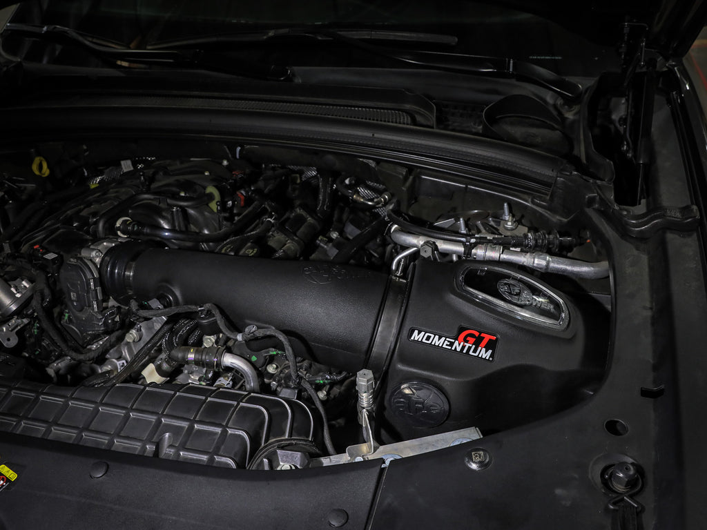 50-70107D_LS1.jpg