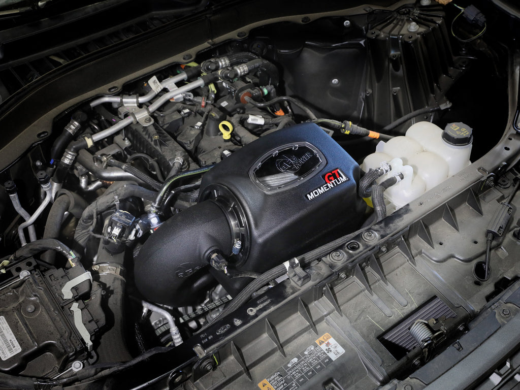 50-70108D_LS1.jpg