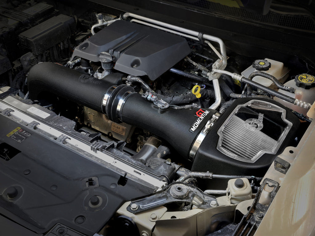 50-70113D_LS1.jpg