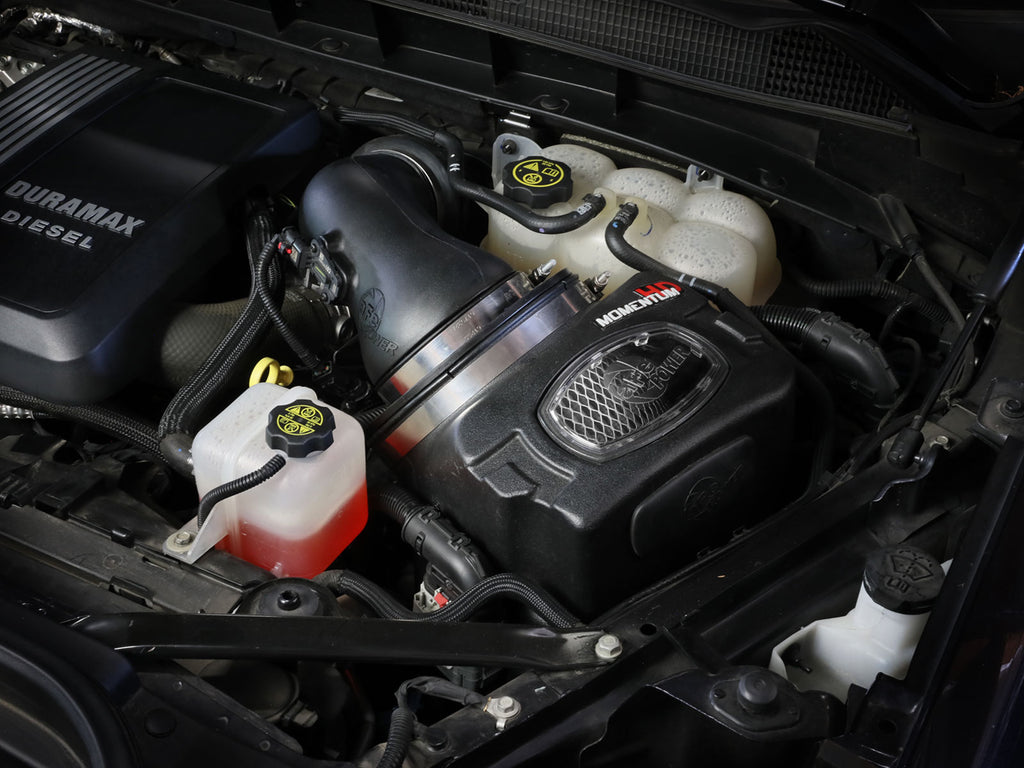 50-70121D_LS1.jpg