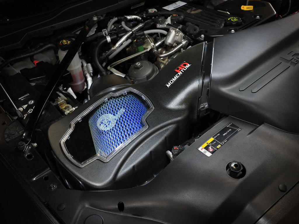 50-70137T_LS1.jpg