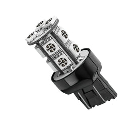 5003-003_AA.jpg