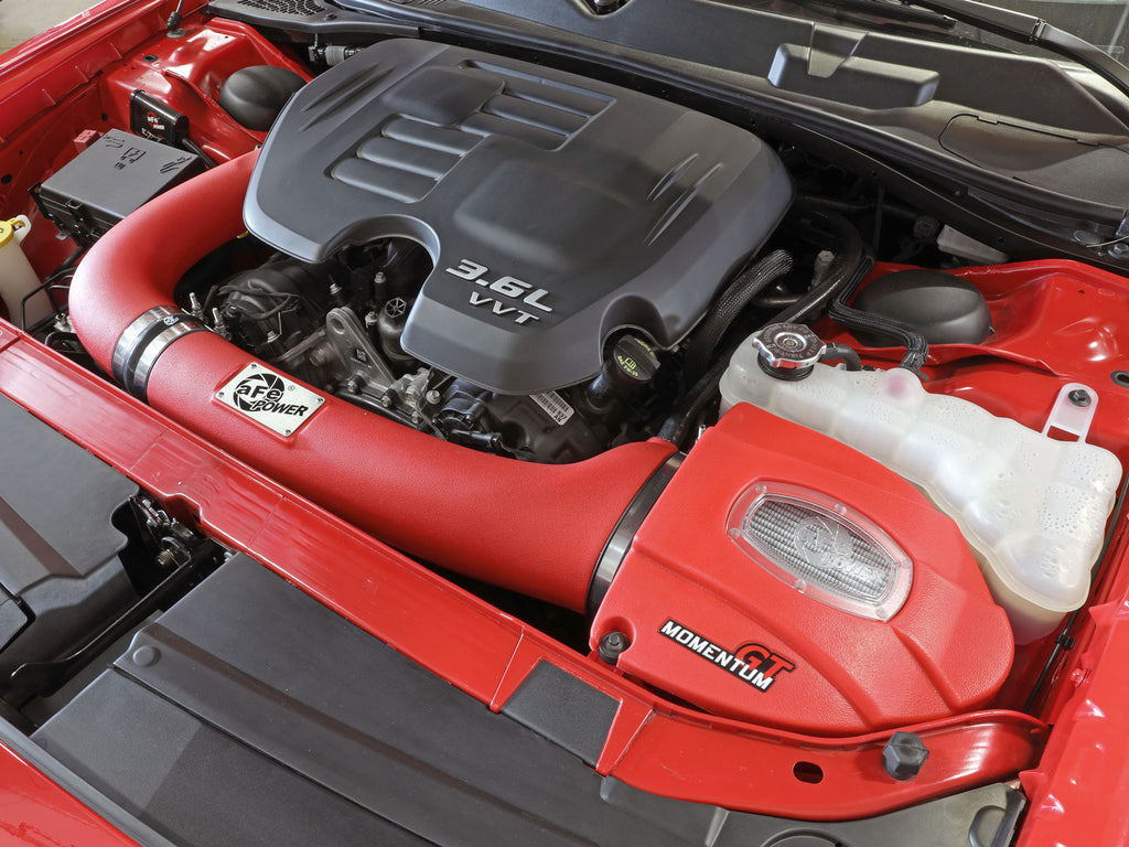 51-72201-R_LS1.jpg
