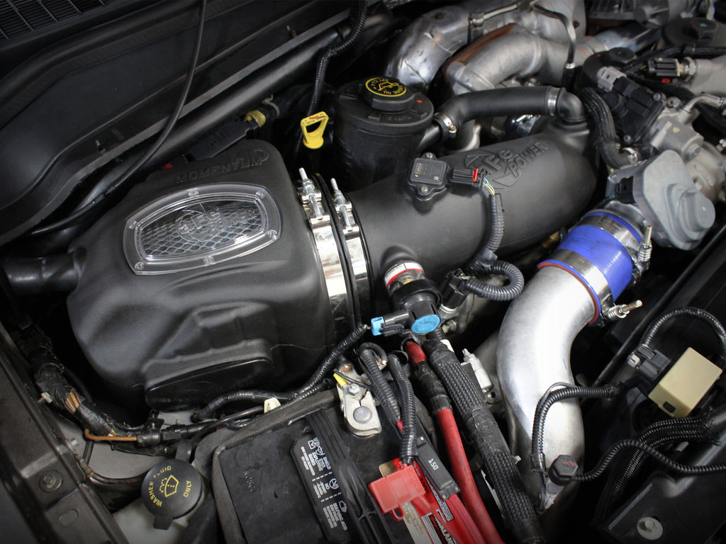 51-73004_LS1.jpg