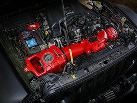 51-76217-R_LS1.jpg
