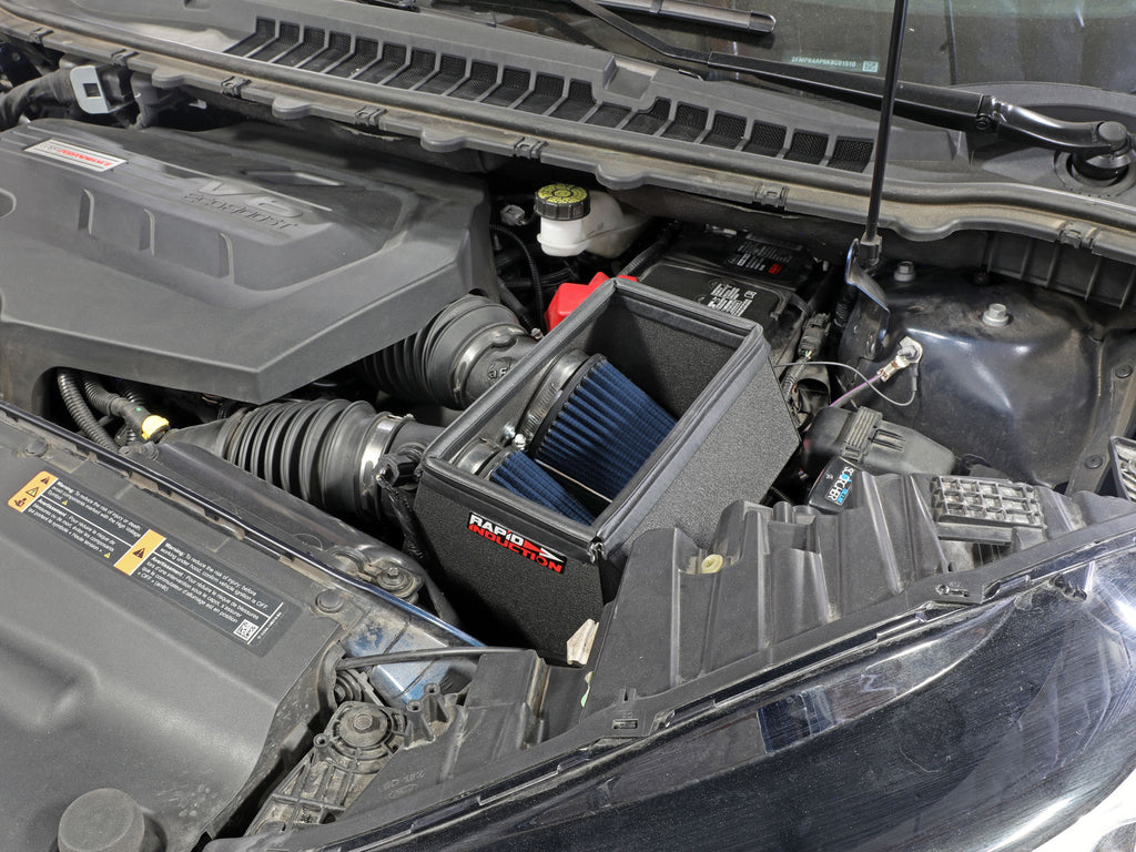 52-10003R_LS1.jpg