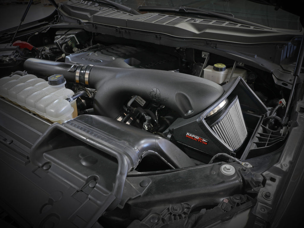 52-10010D_LS1.jpg