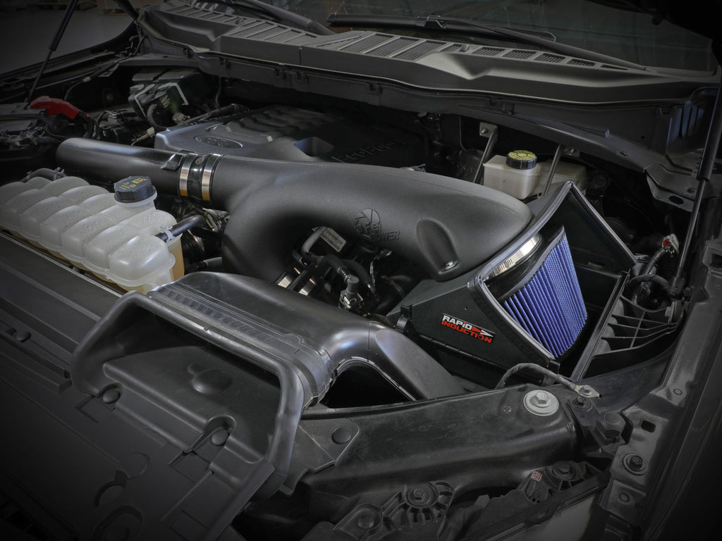 52-10010R_LS1.jpg