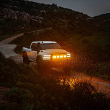 Load image into Gallery viewer, 5208_Cover_Grill_Shield_12.jpg
