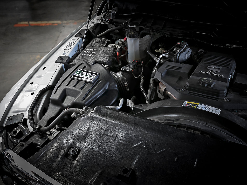 53-10002D_LS1.jpg