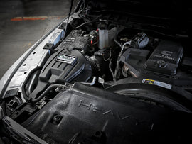 53-10002D_LS1.jpg