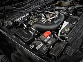 53-10004R_LS1.jpg