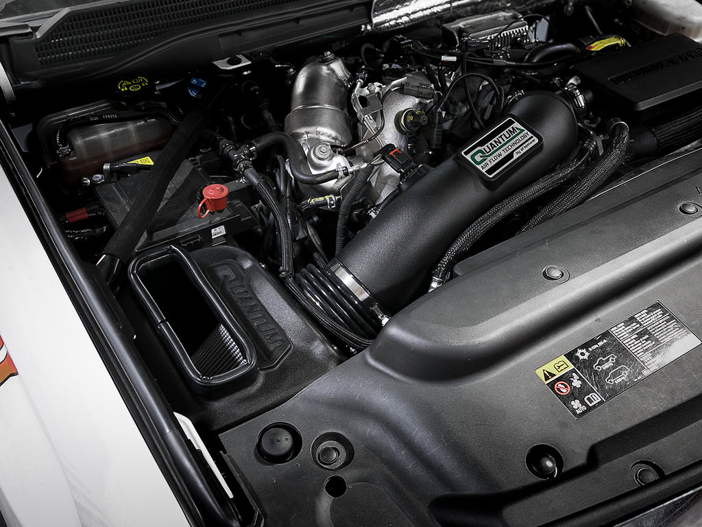53-10007D_LS1.jpg