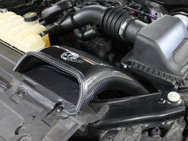 53-10008SC_LS1.jpg