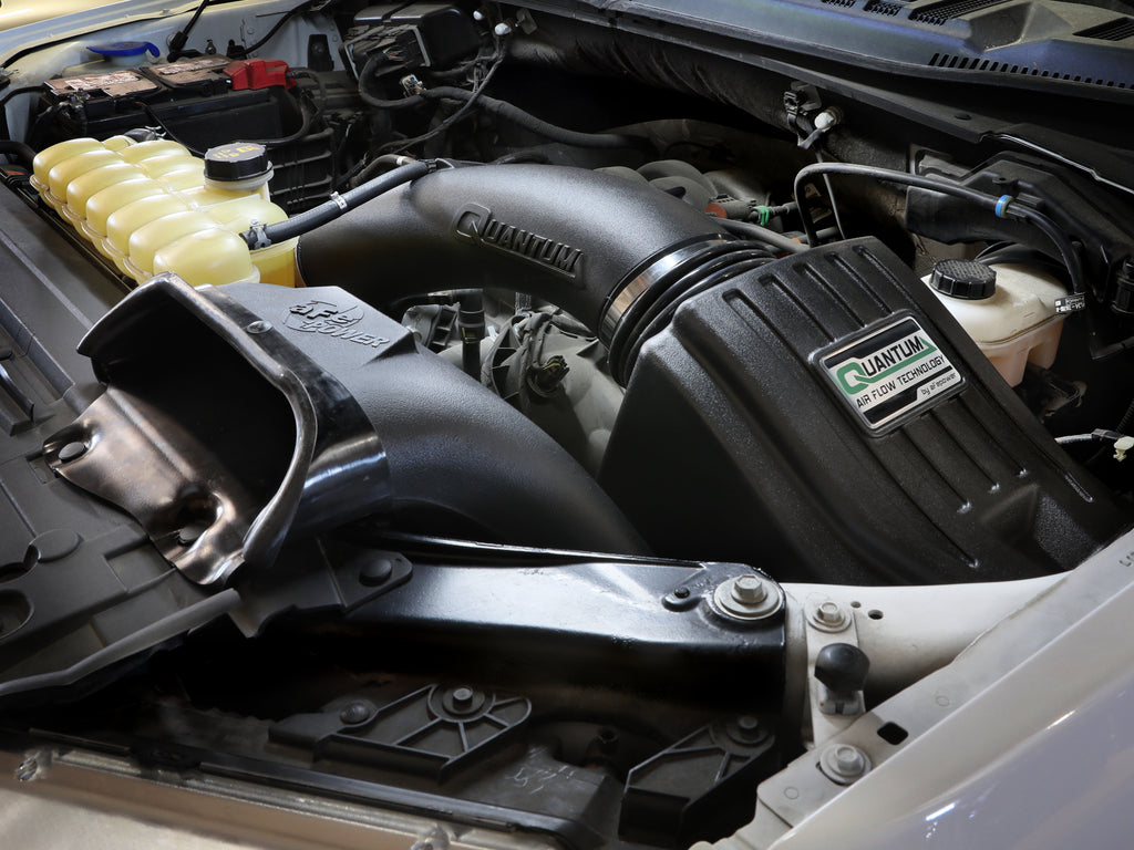 53-10034D_LS1.jpg