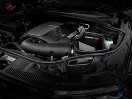 54-13023D_LS1.jpg