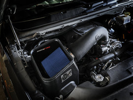 54-13075R_LS1.jpg
