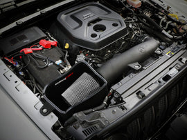 54-13079D_LS1.jpg