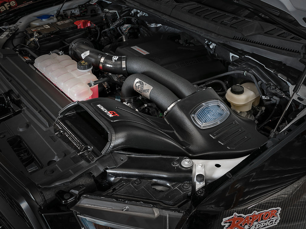 54-73120-B_LS1.jpg