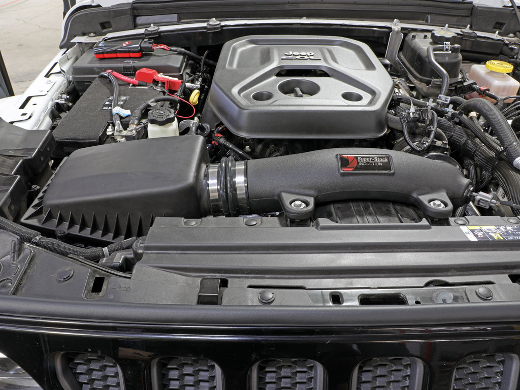 55-10010D_LS1.jpg