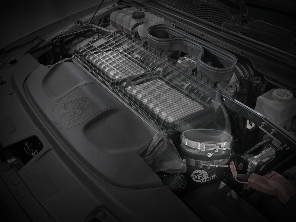 55-10014DC_LS1.jpg