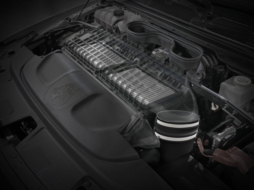 55-10014D_LS1.jpg