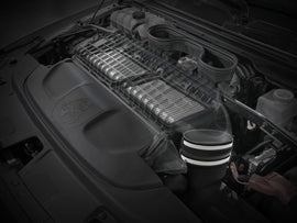 55-10014D_LS1.jpg