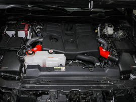 55-10019DR_LS1.jpg