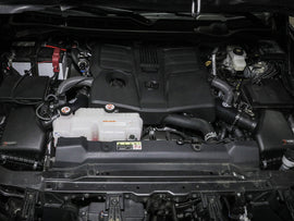 55-10019R_LS1.jpg