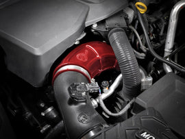 55-20001-R_LS1.jpg