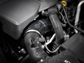 55-20001_LS1.jpg