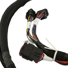 Load image into Gallery viewer, 550-619_02.jpg