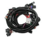 Holley EFI 558-122 Coyote Ti-VCT Main Harness for Holley EFI HP Smart Coils (2011-2017)