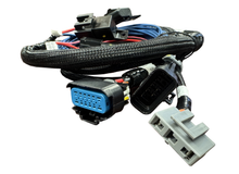 Load image into Gallery viewer, 558-328_01_P01_CON.png
