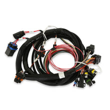 Load image into Gallery viewer, 558-414_01.jpg