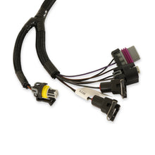 Load image into Gallery viewer, 558-459_02.jpg