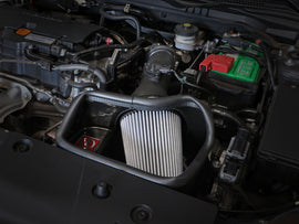 56-10007D_LS1.jpg