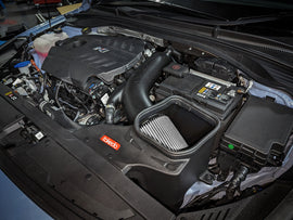 56-10035D_LS1.jpg