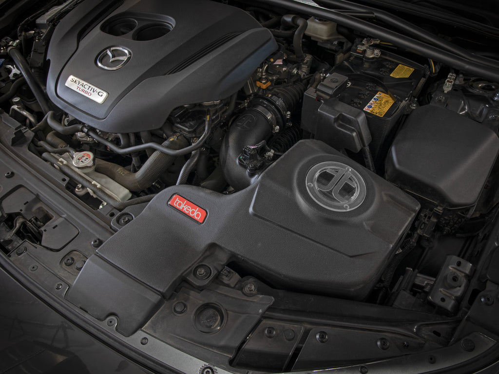 56-70045D_LS1.jpg